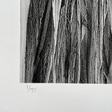 "Mountains of the Mind" 18" x 18" signed, numbered print