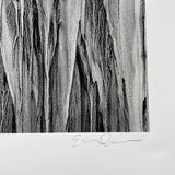 "Mountains of the Mind" 18" x 18" signed, numbered print